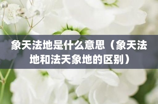 象天法地是什么意思（象天法地和法天象地的区别）