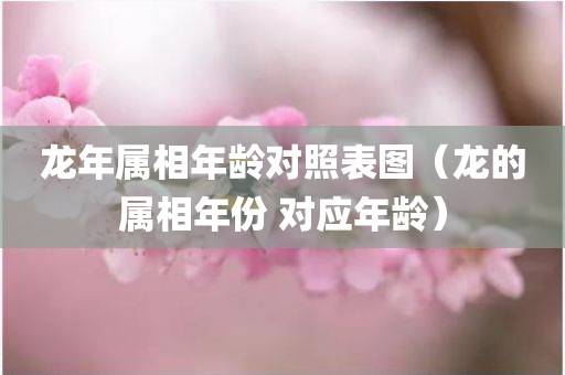 龙年属相年龄对照表图（龙的属相年份 对应年龄）