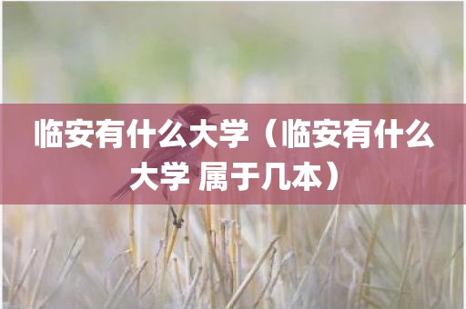 临安有什么大学（临安有什么大学 属于几本）