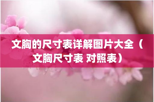 文胸的尺寸表详解图片大全(文胸尺寸表 对照表)