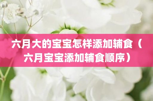 六月大的宝宝怎样添加辅食(六月宝宝添加辅食顺序) 六月大的宝宝怎样添加辅食(六月宝宝添加辅食顺序)