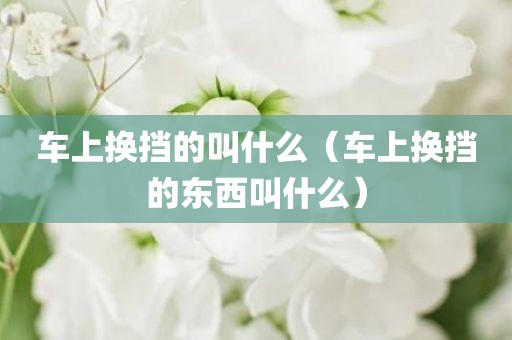 车上换挡的叫什么（车上换挡的东西叫什么）