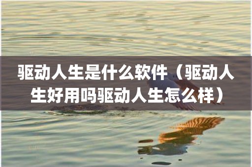 驱动人生是什么软件（驱动人生好用吗驱动人生怎么样）