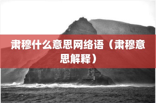 肃穆什么意思网络语(肃穆意思解释)