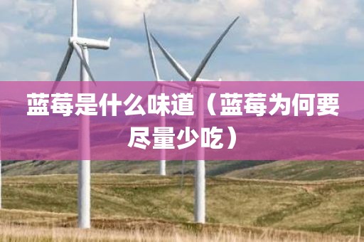 蓝莓是什么味道（蓝莓为何要尽量少吃）