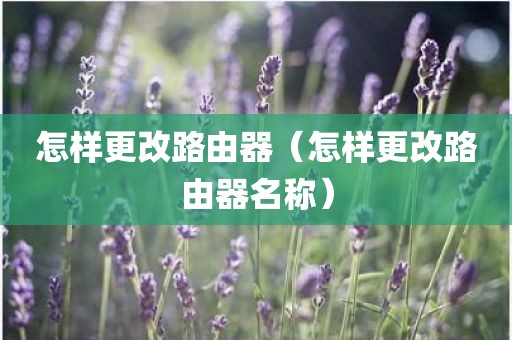 怎样更改路由器（怎样更改路由器名称）