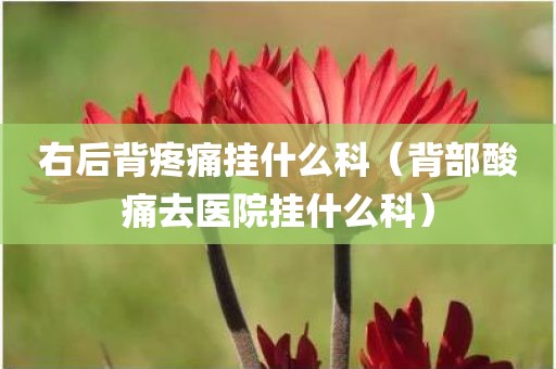右后背疼痛挂什么科（背部酸痛去医院挂什么科）