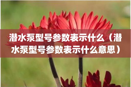 潜水泵型号参数表示什么（潜水泵型号参数表示什么意思）