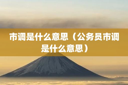 市调是什么意思（公务员市调是什么意思）