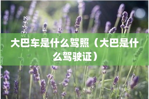 大巴车是什么驾照(大巴是什么驾驶证)