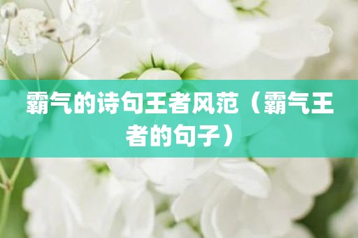 霸气的诗句王者风范（霸气王者的句子）