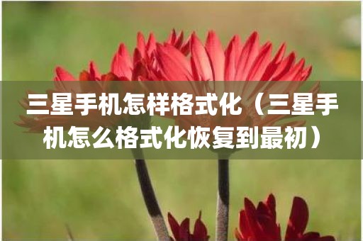 三星手机怎样格式化（三星手机怎么格式化恢复到最初）