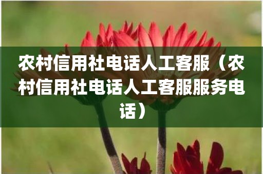 农村信用社电话人工客服（农村信用社电话人工客服服务电话）