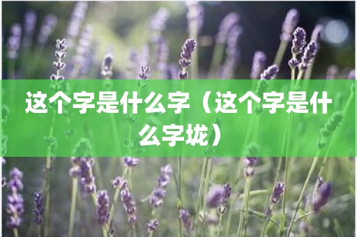 这个字是什么字(这个字是什么字垅)