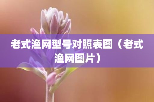 老式渔网型号对照表图（老式渔网图片）