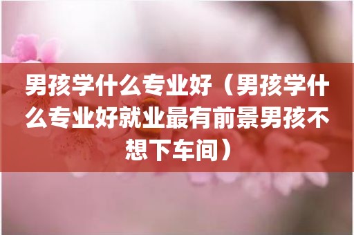 男孩学什么专业好（男孩学什么专业好就业最有前景男孩不想下车间）