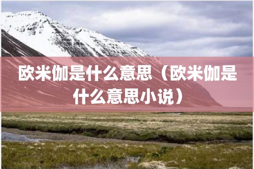 欧米伽是什么意思(欧米伽是什么意思小说)