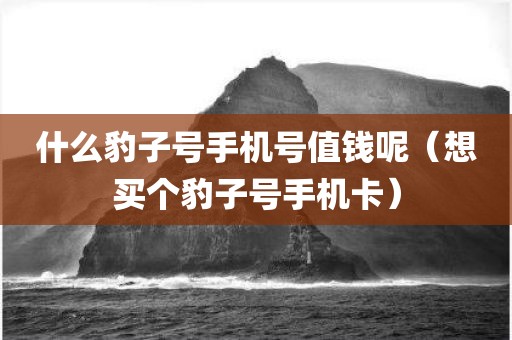 什么豹子号手机号值钱呢（想买个豹子号手机卡）