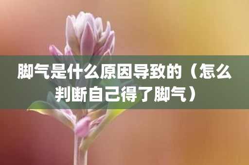 脚气是什么原因导致的（怎么判断自己得了脚气）
