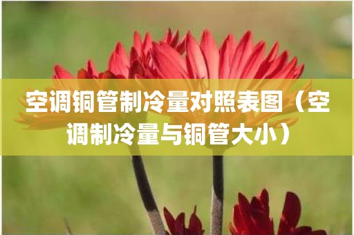空调铜管制冷量对照表图（空调制冷量与铜管大小）