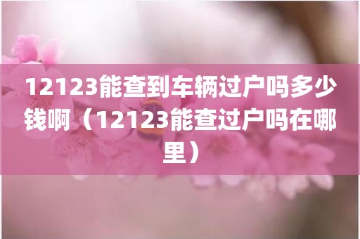 12123能查到车辆过户吗多少钱啊（12123能查过户吗在哪里）