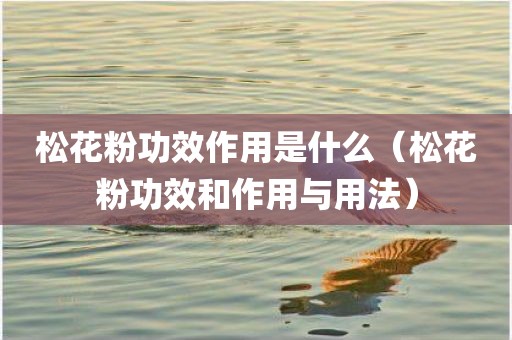 松花粉功效作用是什么（松花粉功效和作用与用法）
