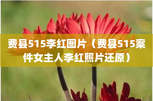 费县515李红图片（费县515案件女主人李红照片还原）