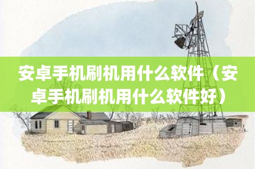 安卓手机刷机用什么软件（安卓手机刷机用什么软件好）