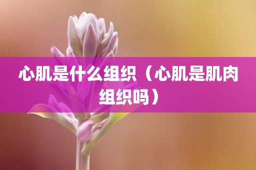 心肌是什么组织（心肌是肌肉组织吗）