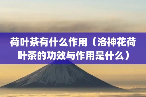 荷叶茶有什么作用（洛神花荷叶茶的功效与作用是什么）