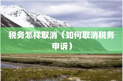 税务怎样取消（如何取消税务申诉）