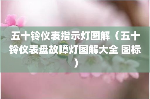 五十铃仪表指示灯图解（五十铃仪表盘故障灯图解大全 图标）