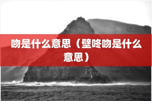 吻是什么意思（壁咚吻是什么意思）