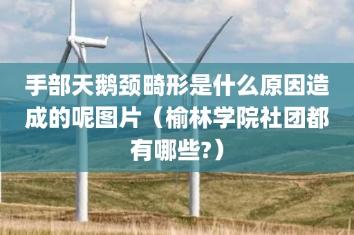 手部天鹅颈畸形是什么原因造成的呢图片（榆林学院社团都有哪些?）