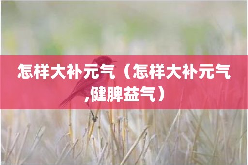 怎样大补元气(怎样大补元气,健脾益气)