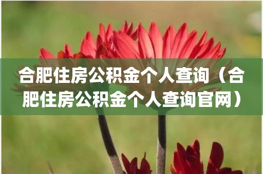 合肥住房公积金个人查询（合肥住房公积金个人查询官网）