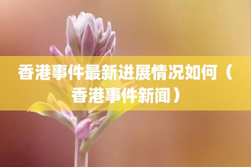 香港事件最新进展情况如何(香港事件新闻) 香港事件最新进展情况如何(香港事件新闻)