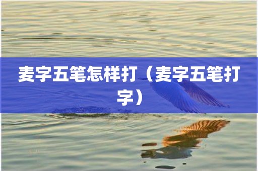 麦字五笔怎样打（麦字五笔打字）