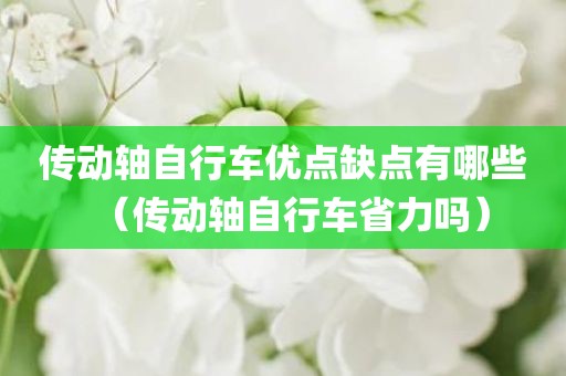 传动轴自行车优点缺点有哪些（传动轴自行车省力吗）