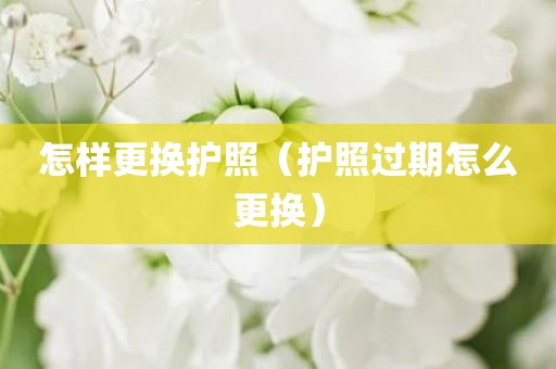 怎样更换护照（护照过期怎么更换）