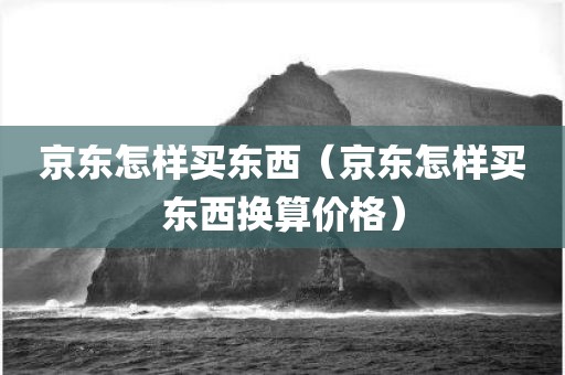 京东怎样买东西（京东怎样买东西换算价格）
