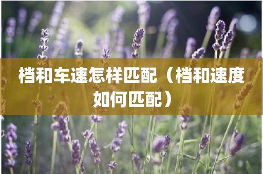 档和车速怎样匹配（档和速度如何匹配）