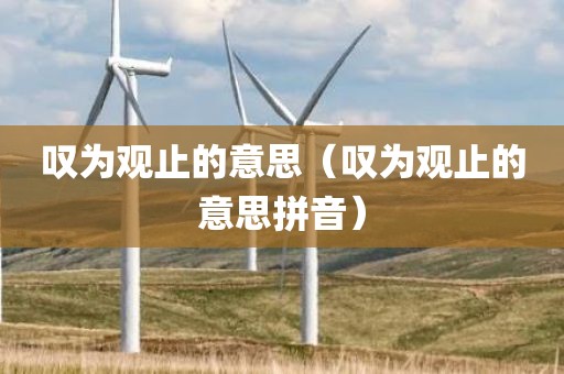 叹为观止的意思（叹为观止的意思拼音）