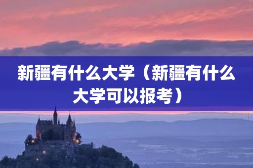 新疆有什么大学（新疆有什么大学可以报考）