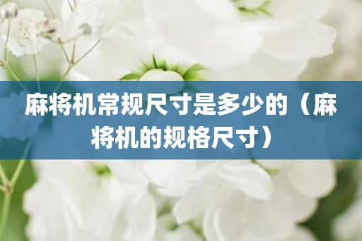 麻将机常规尺寸是多少的（麻将机的规格尺寸）