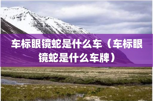 车标眼镜蛇是什么车（车标眼镜蛇是什么车牌）