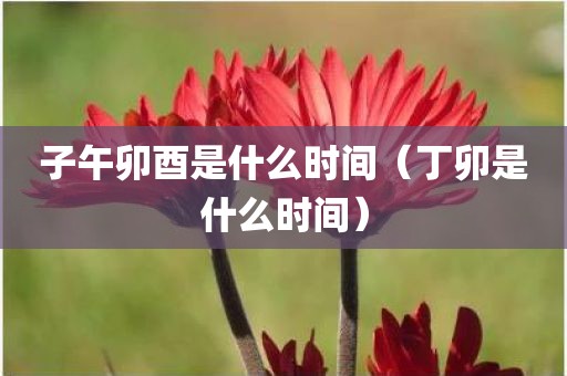 子午卯酉是什么时间（丁卯是什么时间）