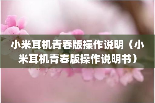 小米耳机青春版操作说明（小米耳机青春版操作说明书）