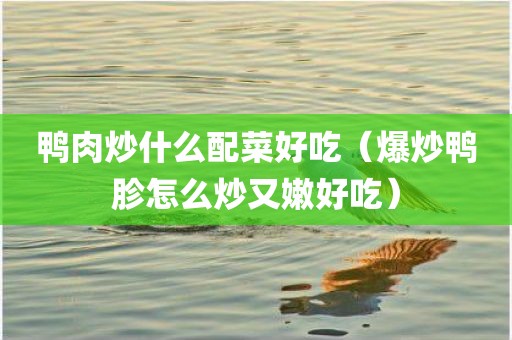 鸭肉炒什么配菜好吃(爆炒鸭胗怎么炒又嫩好吃)