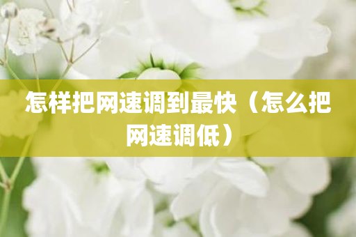 怎样把网速调到最快（怎么把网速调低）